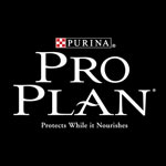 pro plan cat, dog food